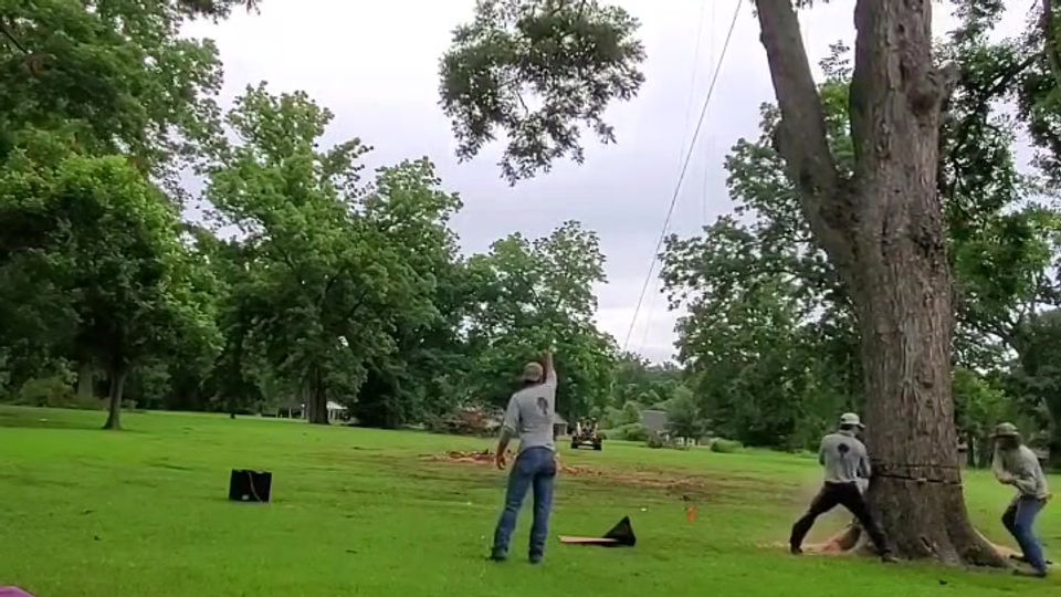 Southern Tree Services